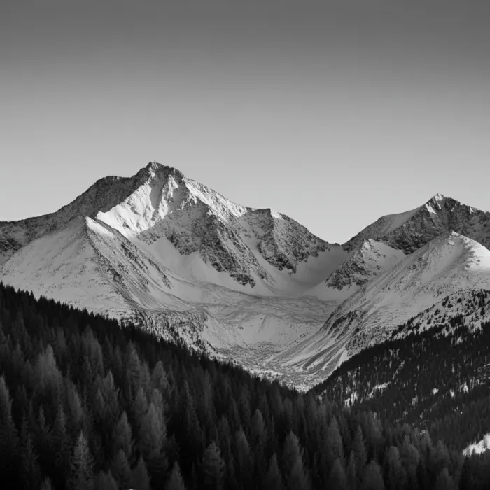 Chiedendo una serena fotografia di paesaggio in bianco e nero-01