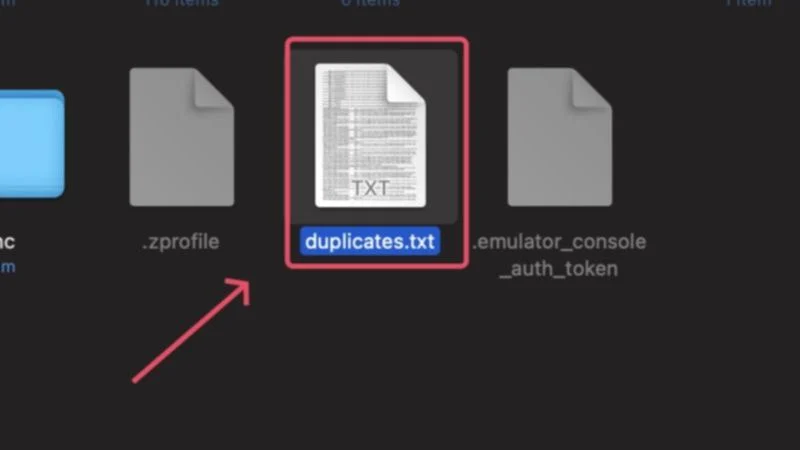 duplicates.txt file