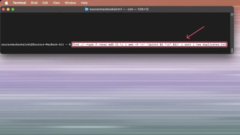 terminal command to delete duplicate files