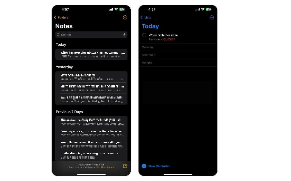 apple notes app and apple reminders app