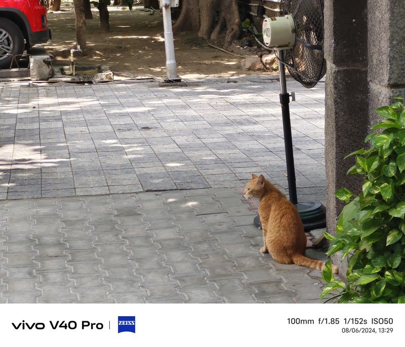 vivo v40 pro review: the budget flagship camera beast! - img 20240806 132956