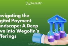 驾驭数字支付格局：深入探讨 Wegofin 的产品