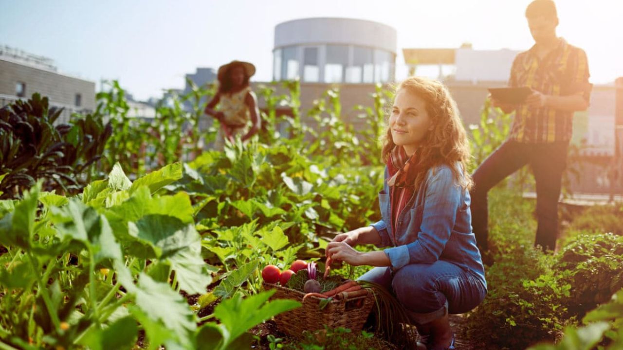 Cómo la agricultura urbana está cambiando la forma en que comemos en las ciudades