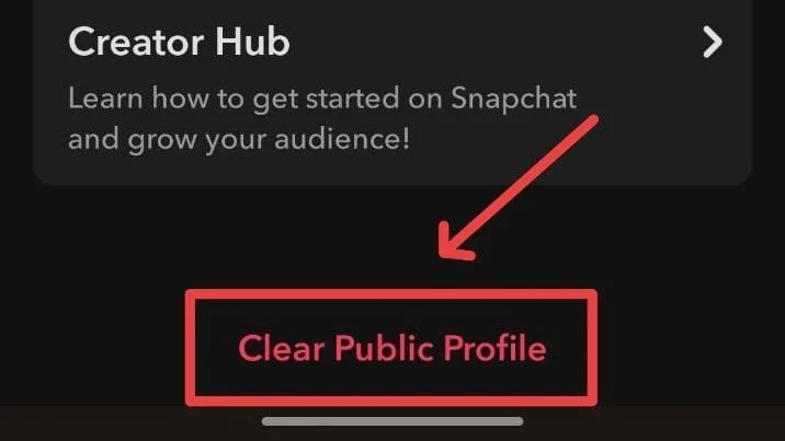 delete a public profile on snapchat