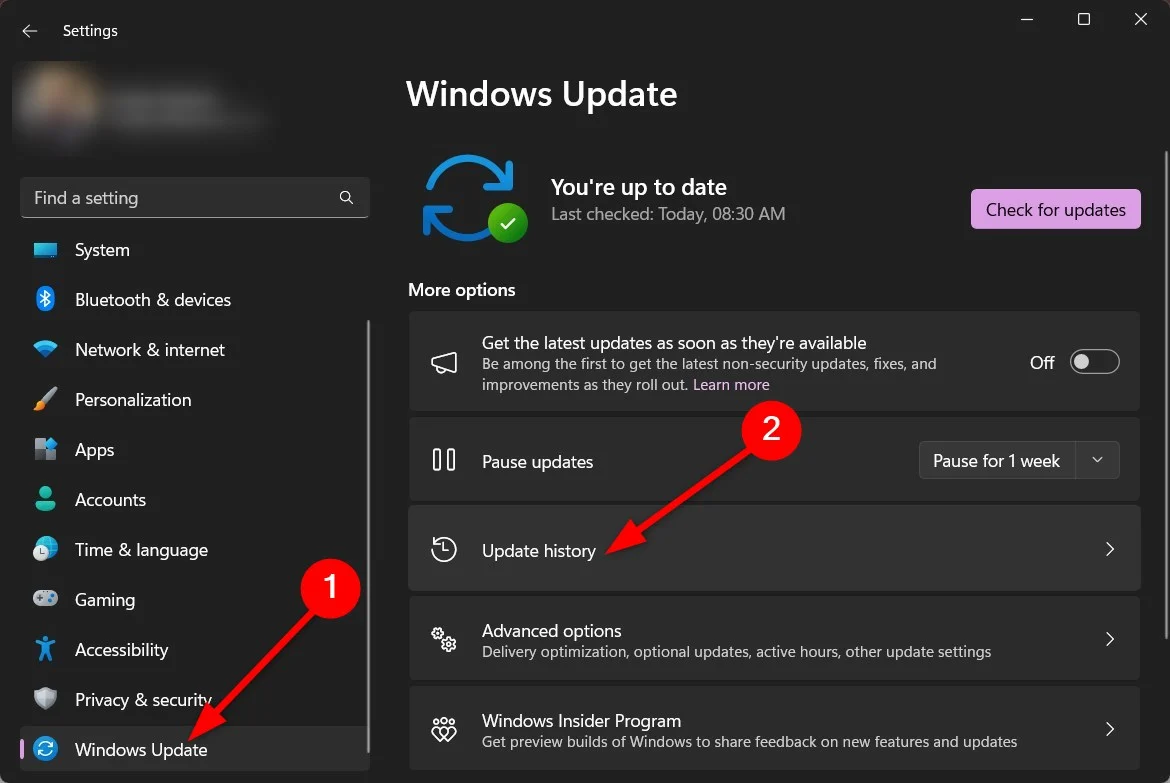 update history windows 11