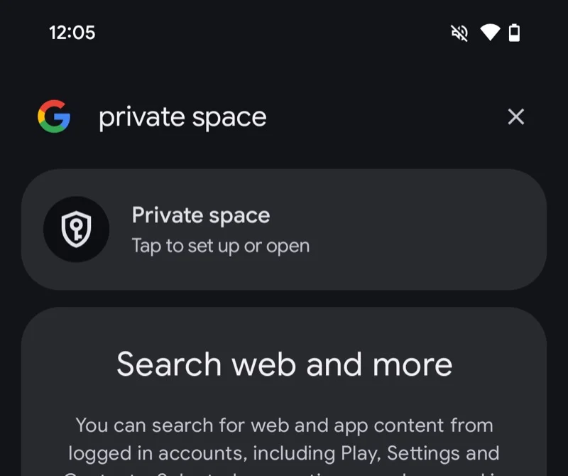 accessing hidden private space from the app drawer on a pixel phone.