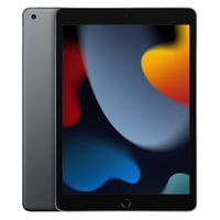 Apple iPad 10.2, 256GB (2021)