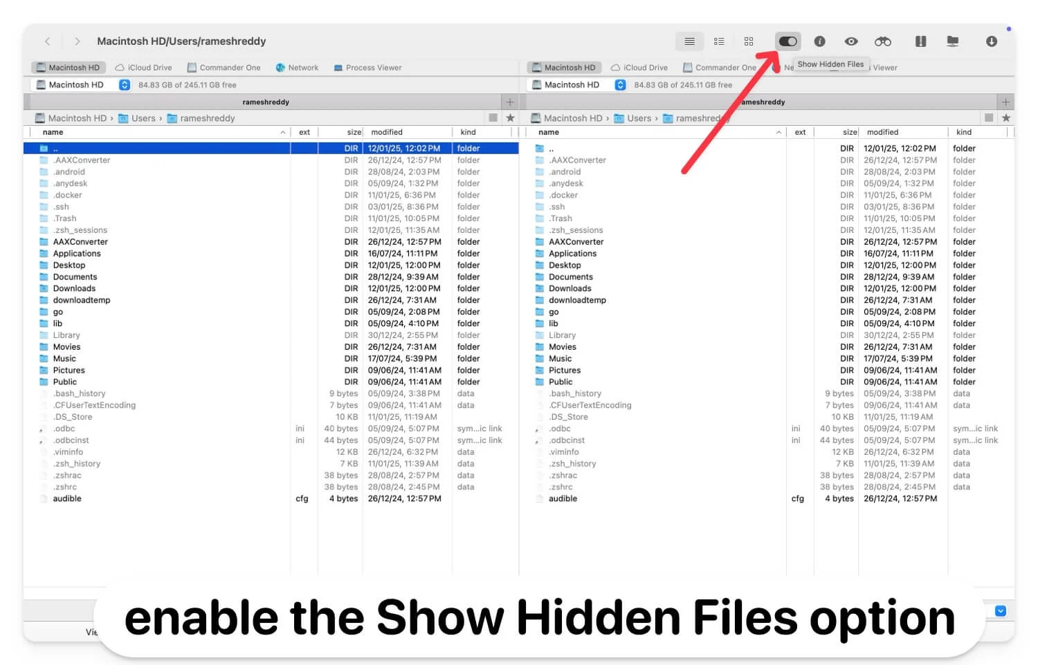 use commander one to show hidden files