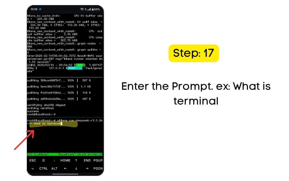 enter the prompt