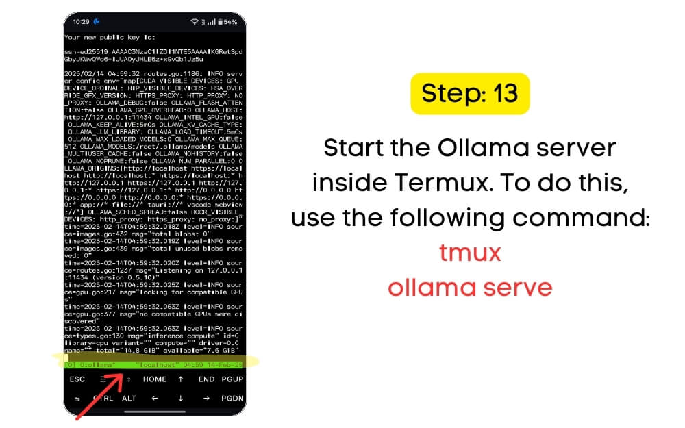 start the ollama server inside termux