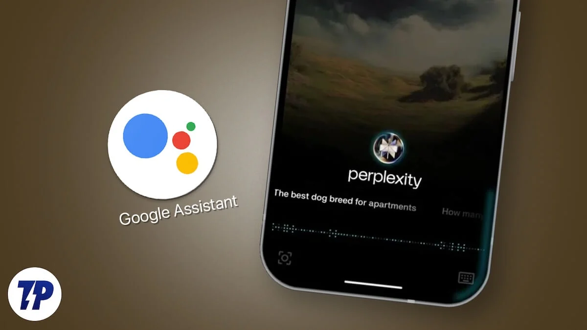 perplexity assistant vs google assistant