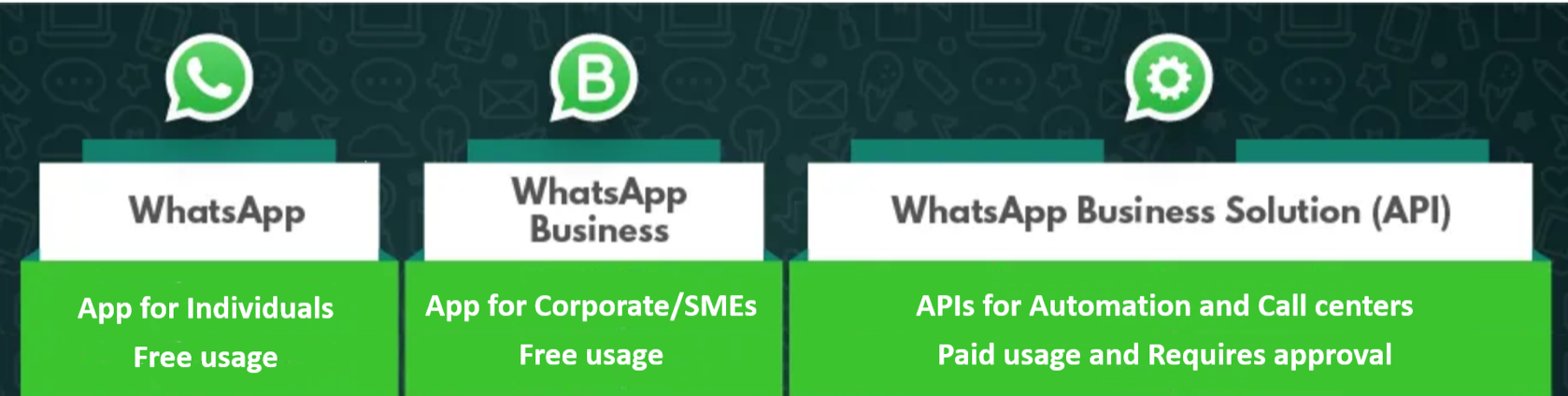 Ecosistema WhatsApp