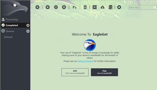 eagleget