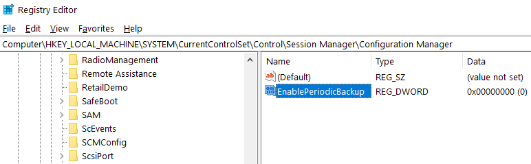 ตั้งชื่อคีย์เป็น EnablePeriodicBackup