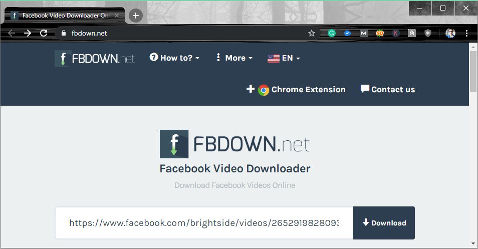 Fbdown