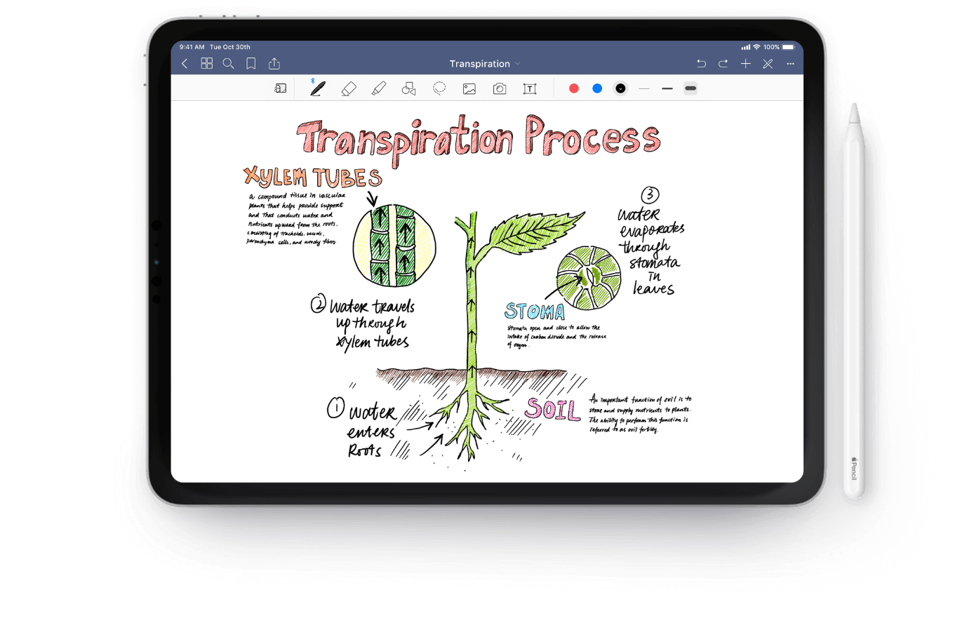 GoodNotes – o melhor aplicativo de anotações para iPad