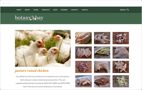 Darmowy hosting Weebly