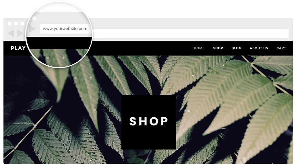 Shopify domena