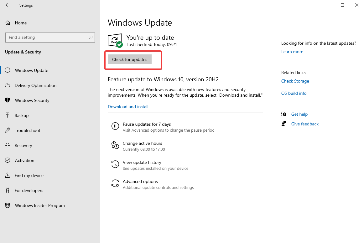 Actualización de Windows - Buscar actualizaciones