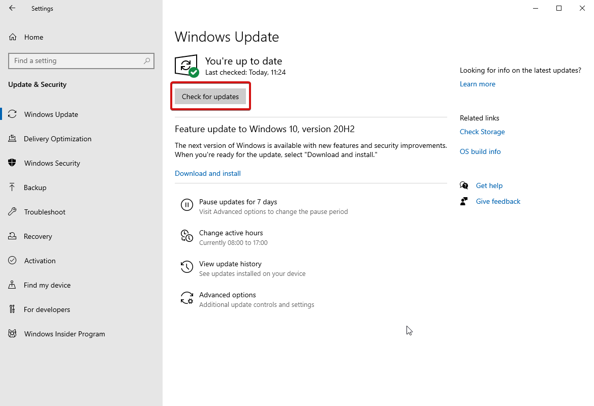 Windows Updates _ CHeck for Updates