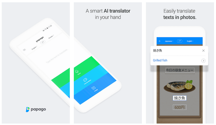Papago Photo Translator