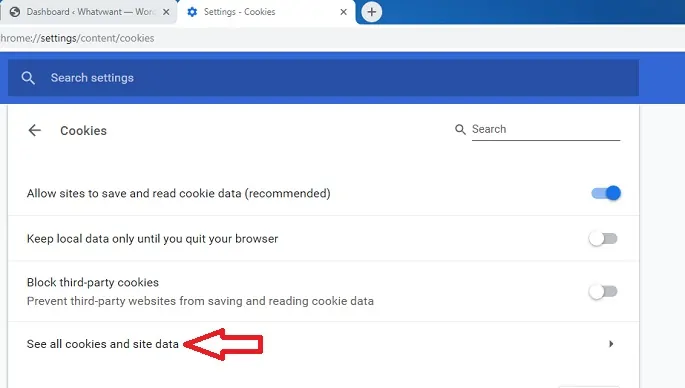 Lihat semua Cookie dan opsi data situs di Google Chrome