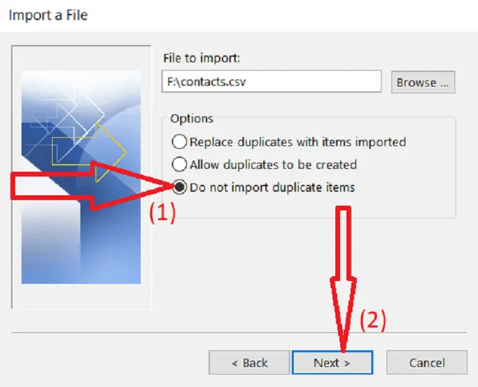 selecione Não importar itens duplicados.