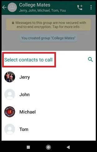 Group-Members-in-a-WhatsApp-Group