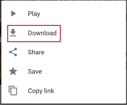 Download-Option für Videos