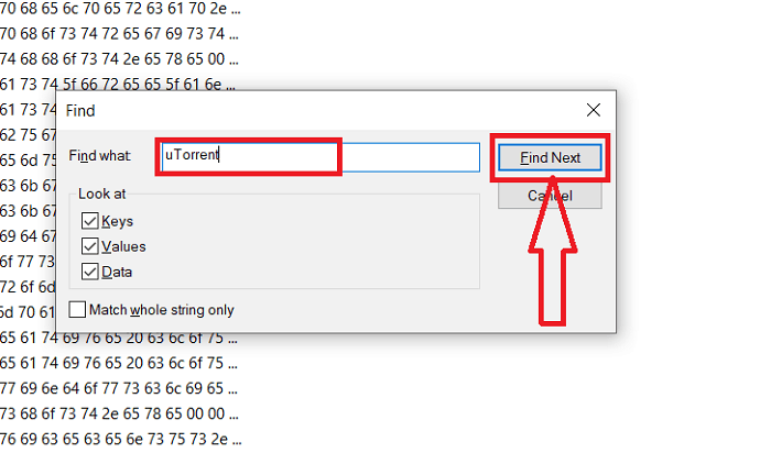 在“查找内容”框中输入 uTorrent，然后单击“查找下一个”选项。