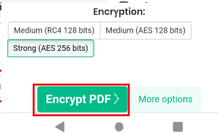 crittografa l'opzione pdf