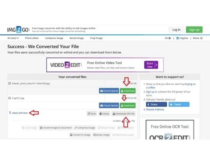 Passo 2 Clique no botão de download para salvar individualmente ou em formato zip