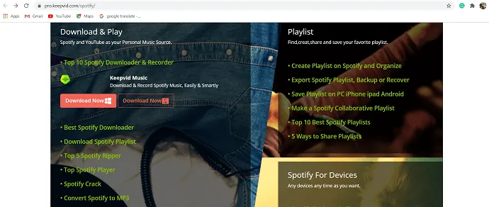 KeepVid Music per scaricare la playlist di Spotify.