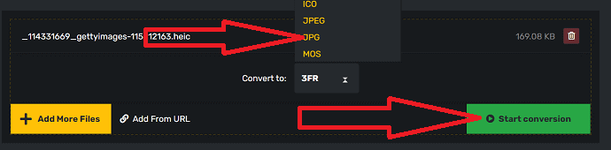 sélectionnez le format de sortie et cliquez sur démarrer la conversion.