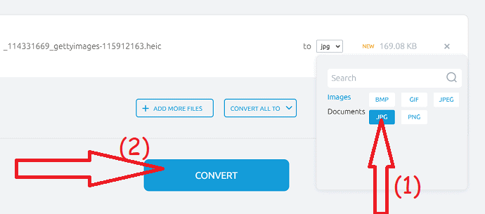 pilih format output dan klik opsi konversi.