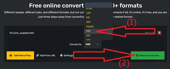 Seleziona il formato di output e avvia la conversione.