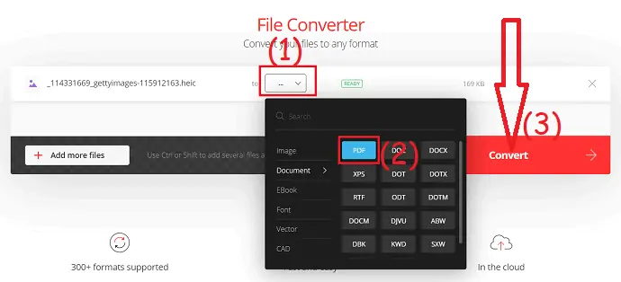 selecione o formato de saída e clique em converter