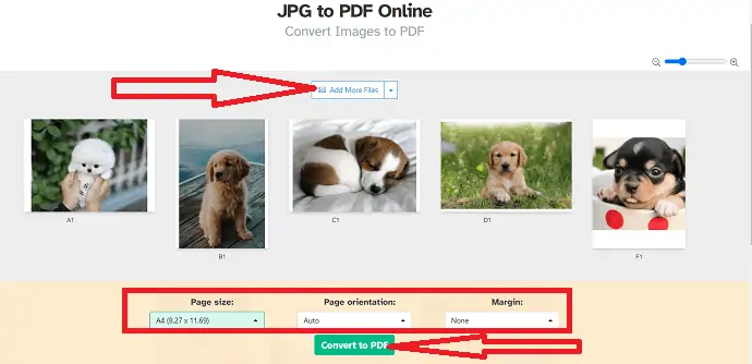 Wählen Sie den Anzeigenrand für die Ausrichtung der Seitengröße aus und klicken Sie auf In PDF konvertieren