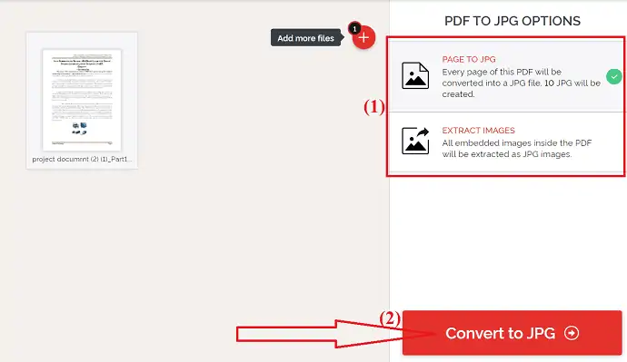 Clique na opção Converter para JPG.