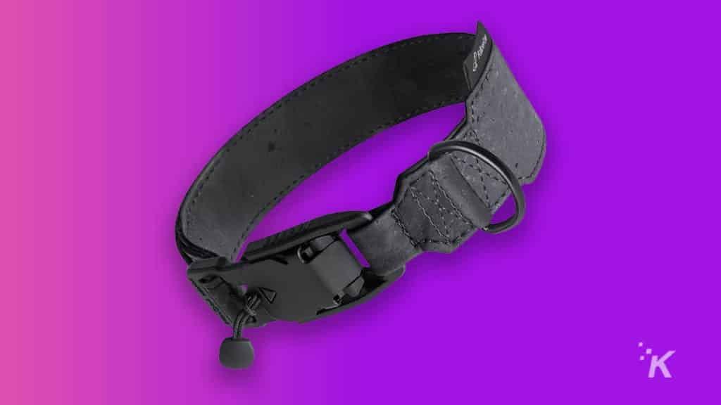 collar de perro con etiquetas de aire