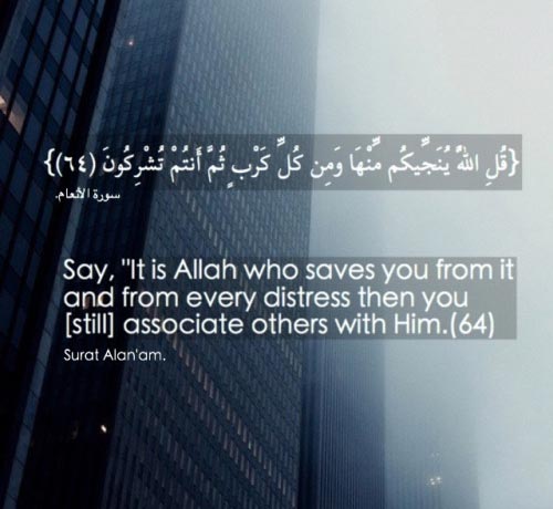 ayat quran 6