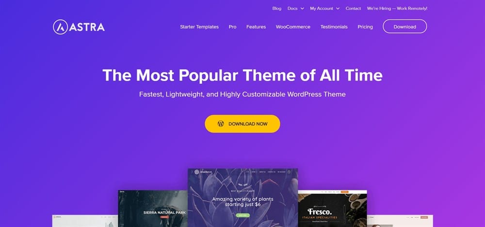 24. WordPress themes