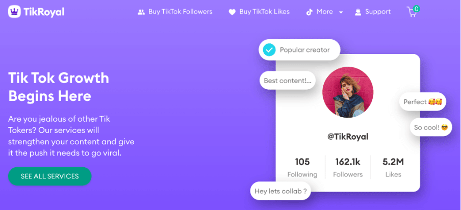 buy tiktok likes