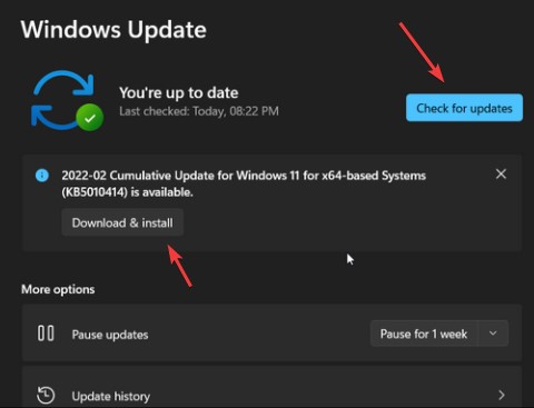 verifique la actualización de Windows