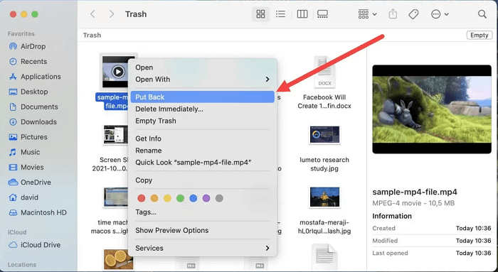 Trash folder and right click on the file and click on put back